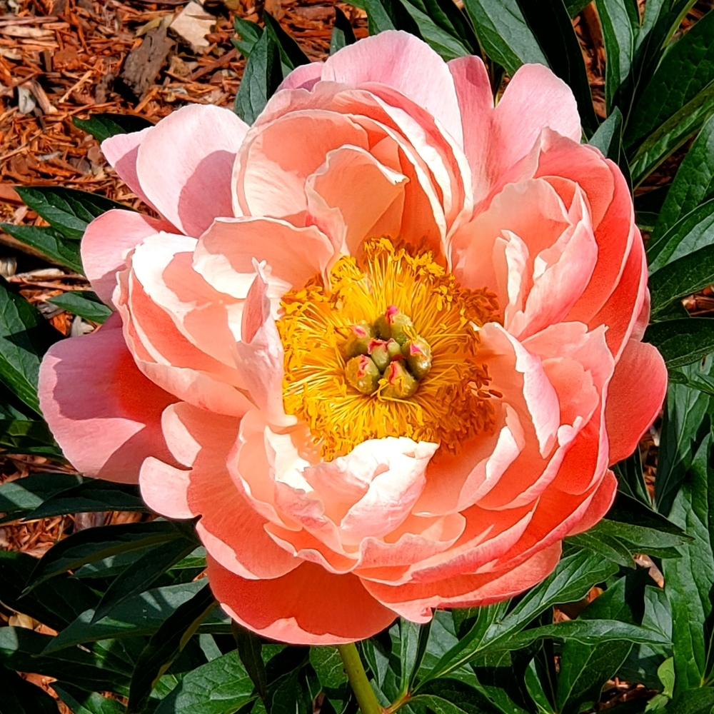Have A Wonderful Day!